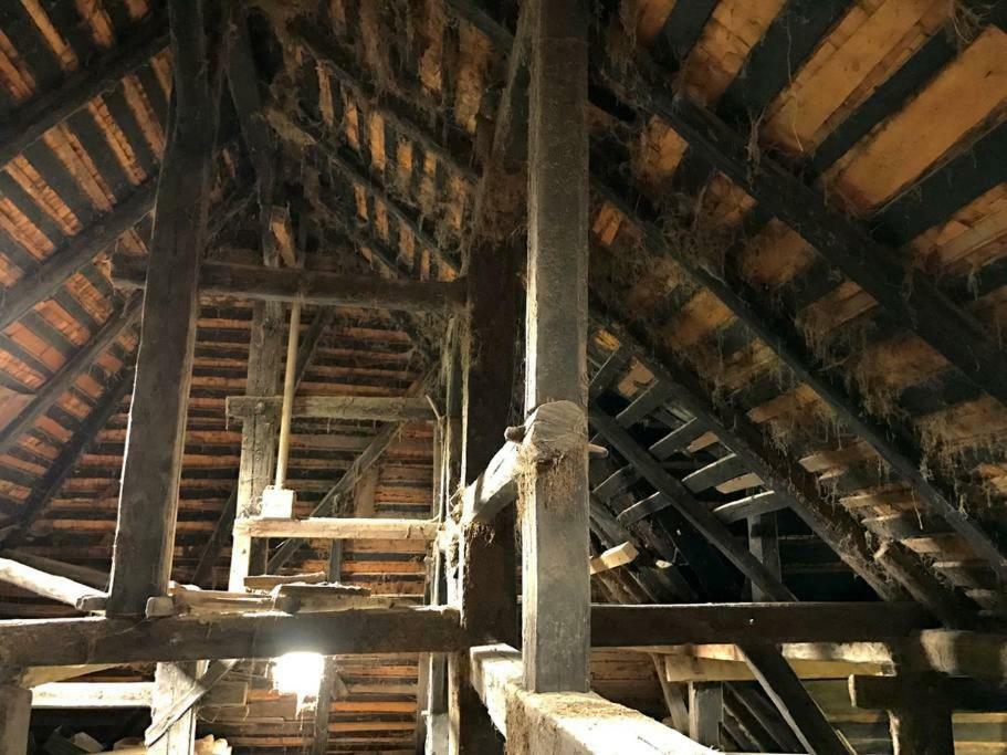 Echtes Schwarzwaldhaus - Traditionell & Modern Бернау им Шварцвалд Екстериор снимка